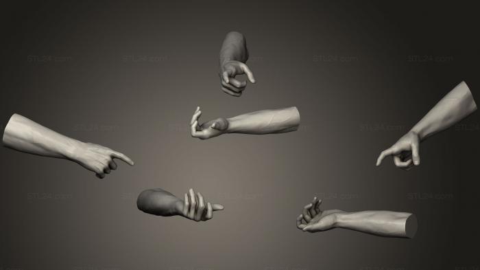 Anatomy of skeletons and skulls (Male Hands 9, ANTM_0825) 3D models for cnc